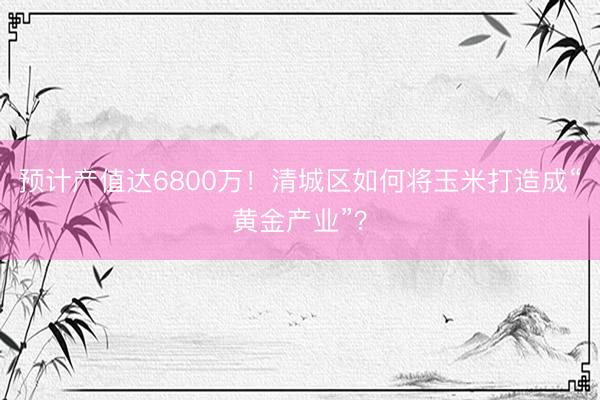 预计产值达6800万！清城区如何将玉米打造成“黄金产业”？