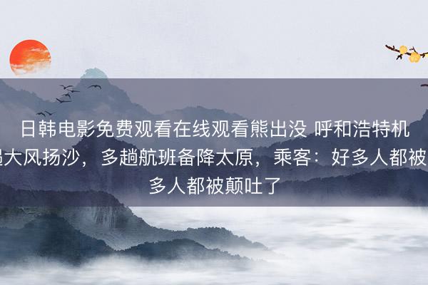 日韩电影免费观看在线观看熊出没 呼和浩特机场遭遇大风扬沙，多趟航班备降太原，乘客：好多人都被颠吐了
