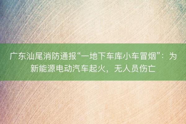 广东汕尾消防通报“一地下车库小车冒烟”：为新能源电动汽车起火，无人员伤亡