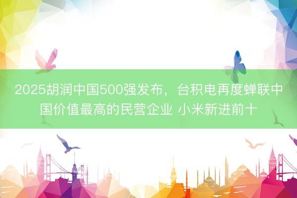 2025胡润中国500强发布，台积电再度蝉联中国价值最高的民营企业 小米新进前十