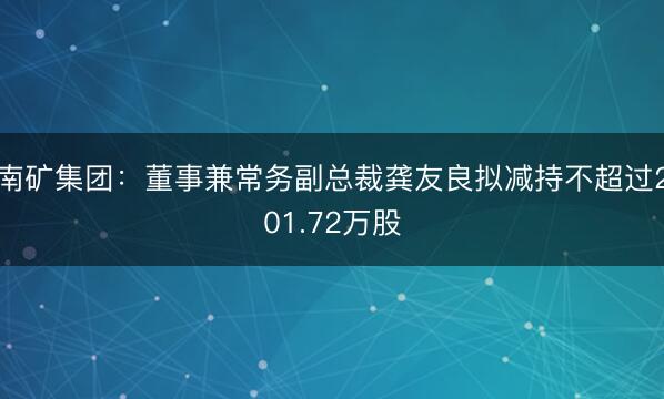 南矿集团：董事兼常务副总裁龚友良拟减持不超过201.72万股