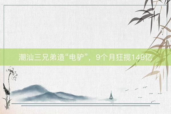 潮汕三兄弟造“电驴”，9个月狂揽148亿