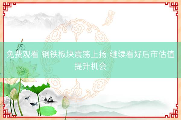 免费观看 钢铁板块震荡上扬 继续看好后市估值提升机会