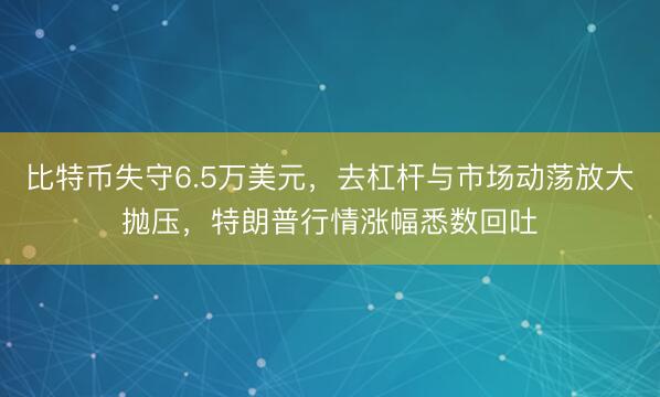 比特币失守6.5万美元，去杠杆与市场动荡放大抛压，特朗普行情涨幅悉数回吐