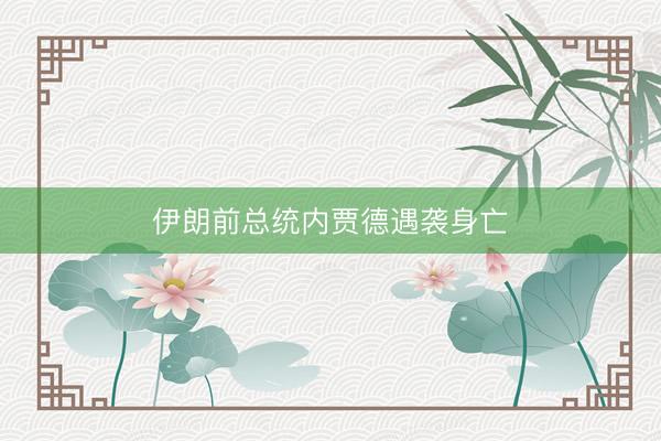 伊朗前总统内贾德遇袭身亡