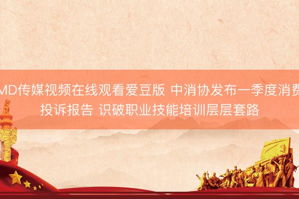 MD传媒视频在线观看爱豆版 中消协发布一季度消费投诉报告 识破职业技能培训层层套路