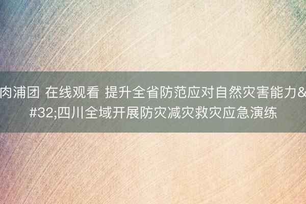 肉浦团 在线观看 提升全省防范应对自然灾害能力 四川全域开展防灾减灾救灾应急演练