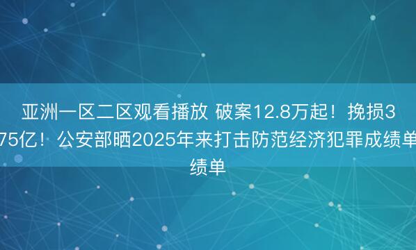 亚洲一区二区观看播放 破案12.8万起！挽损375亿！公安部晒2025年来打击防范经济犯罪成绩单