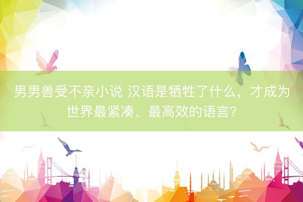 男男兽受不亲小说 汉语是牺牲了什么，才成为世界最紧凑、最高效的语言？