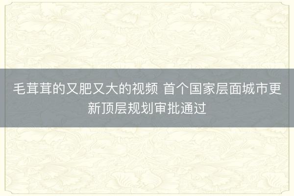 毛茸茸的又肥又大的视频 首个国家层面城市更新顶层规划审批通过