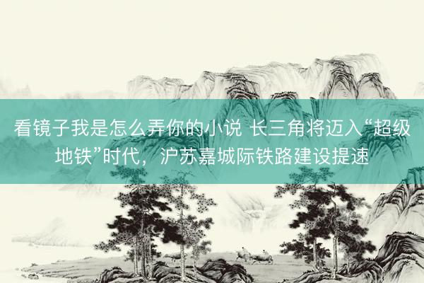 看镜子我是怎么弄你的小说 长三角将迈入“超级地铁”时代，沪苏嘉城际铁路建设提速