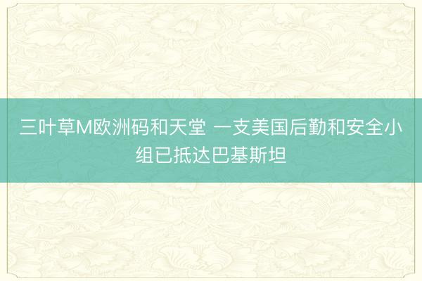 三叶草M欧洲码和天堂 一支美国后勤和安全小组已抵达巴基斯坦