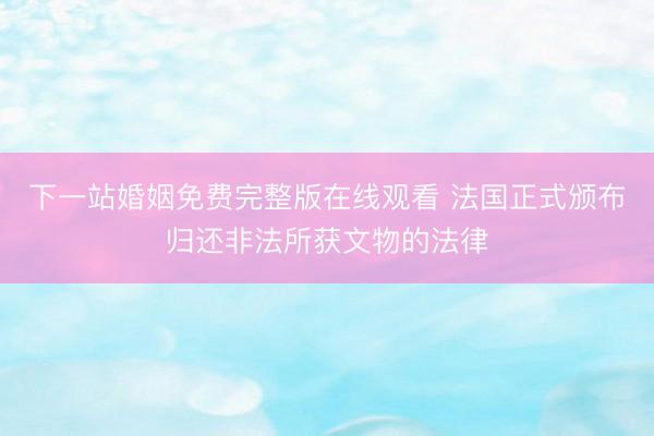 下一站婚姻免费完整版在线观看 法国正式颁布归还非法所获文物的法律