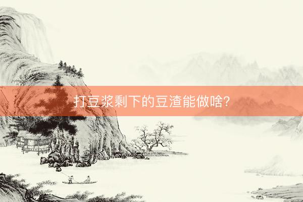 打豆浆剩下的豆渣能做啥?
