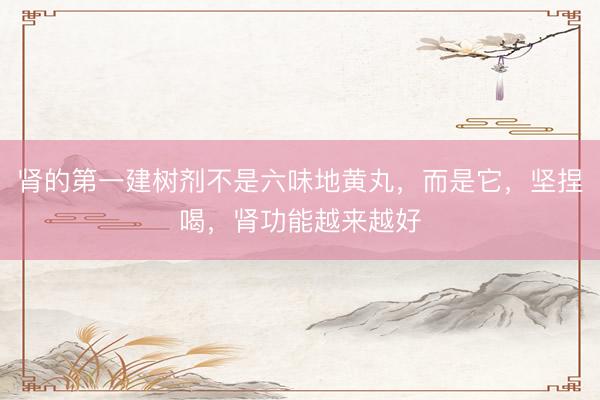 肾的第一建树剂不是六味地黄丸，而是它，坚捏喝，肾功能越来越好