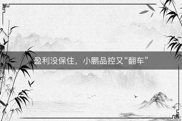 盈利没保住，小鹏品控又“翻车”