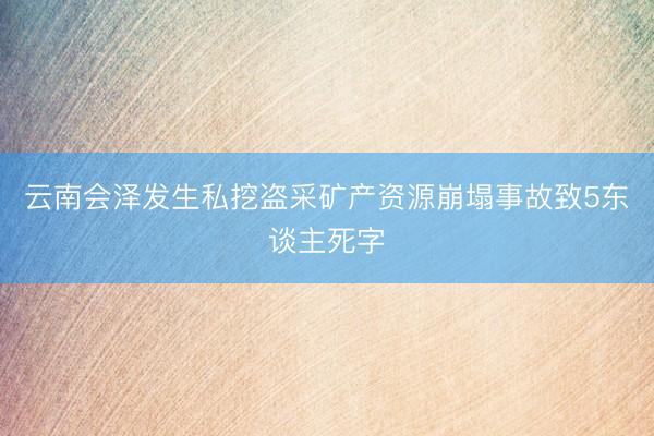 云南会泽发生私挖盗采矿产资源崩塌事故致5东谈主死字