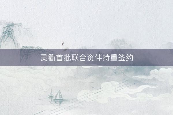灵衢首批联合资伴持重签约