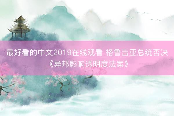 最好看的中文2019在线观看 格鲁吉亚总统否决《异邦影响透明度法案》