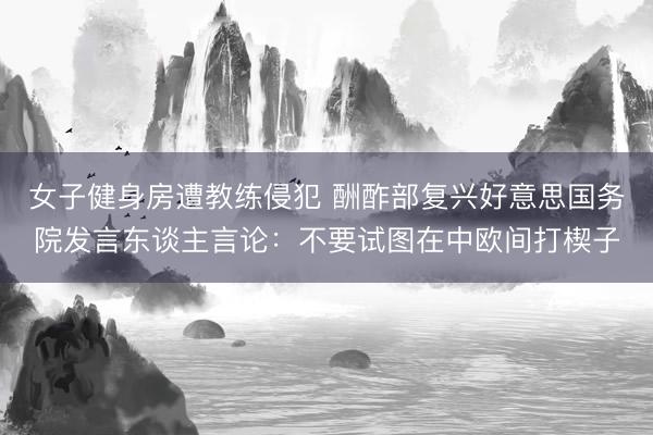 女子健身房遭教练侵犯 酬酢部复兴好意思国务院发言东谈主言论：不要试图在中欧间打楔子
