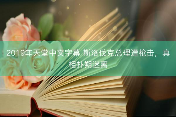 2019年天堂中文字幕 斯洛伐克总理遭枪击，真相扑朔迷离