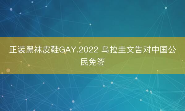 正装黑袜皮鞋GAY.2022 乌拉圭文告对中国公民免签