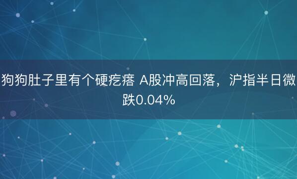 狗狗肚子里有个硬疙瘩 A股冲高回落，沪指半日微跌0.04%