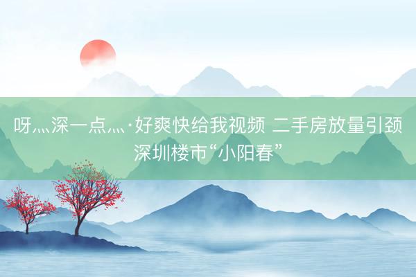 呀灬深一点灬·好爽快给我视频 二手房放量引颈深圳楼市“小阳春”