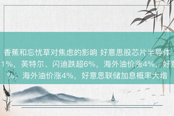 香蕉和忘忧草对焦虑的影响 好意思股芯片半导体全线重挫，高通大跌11%，英特尔、闪迪跌超6%，海外油价涨4%，好意思联储加息概率大增