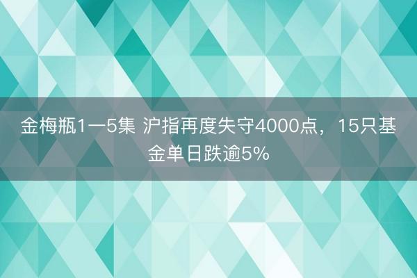 金梅瓶1一5集 沪指再度失守4000点，15只基金单日跌逾5%