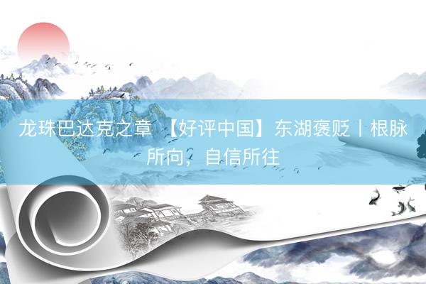 龙珠巴达克之章 【好评中国】东湖褒贬丨根脉所向，自信所往