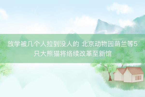 放学被几个人拉到没人的 北京动物园萌兰等5只大熊猫将络续改革至新馆