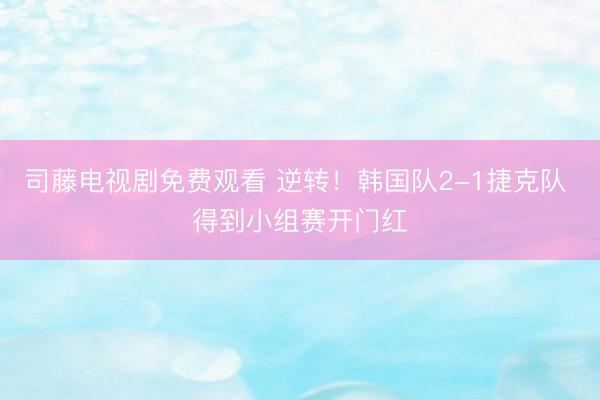 司藤电视剧免费观看 逆转！韩国队2-1捷克队 得到小组赛开门红