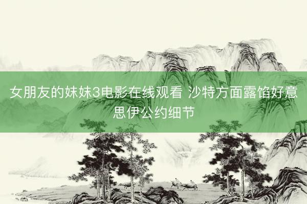 女朋友的妺妺3电影在线观看 沙特方面露馅好意思伊公约细节