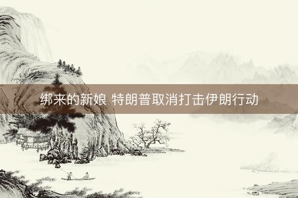 绑来的新娘 特朗普取消打击伊朗行动