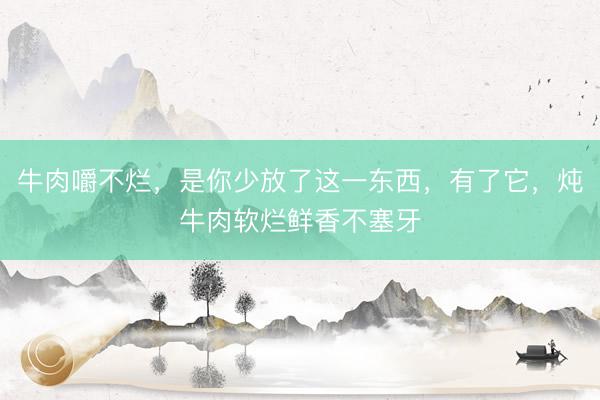 牛肉嚼不烂，是你少放了这一东西，有了它，炖牛肉软烂鲜香不塞牙