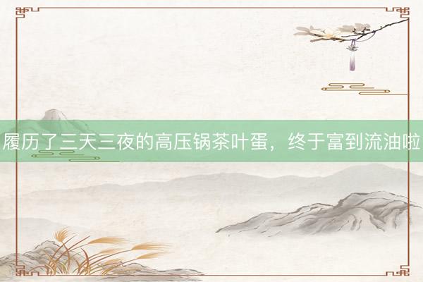 履历了三天三夜的高压锅茶叶蛋，终于富到流油啦