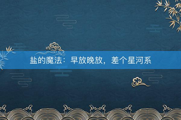 盐的魔法:早放晚放,差个星河系