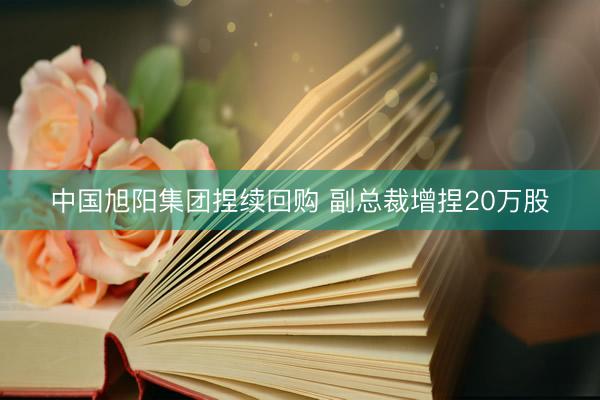 中国旭阳集团捏续回购 副总裁增捏20万股