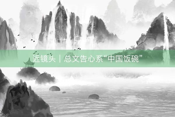 近镜头｜总文告心系“中国饭碗”