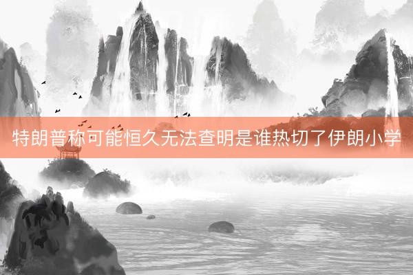 特朗普称可能恒久无法查明是谁热切了伊朗小学